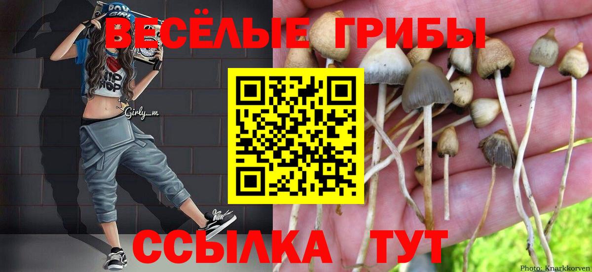 Галлюциногенные грибы Cubensis  Псилоцибиновые грибы мухоморы  Вход с VPN  Зима 