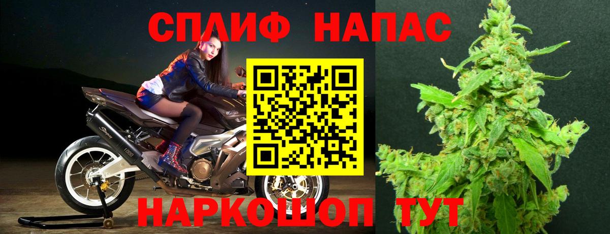 Канабис гибрид Зима